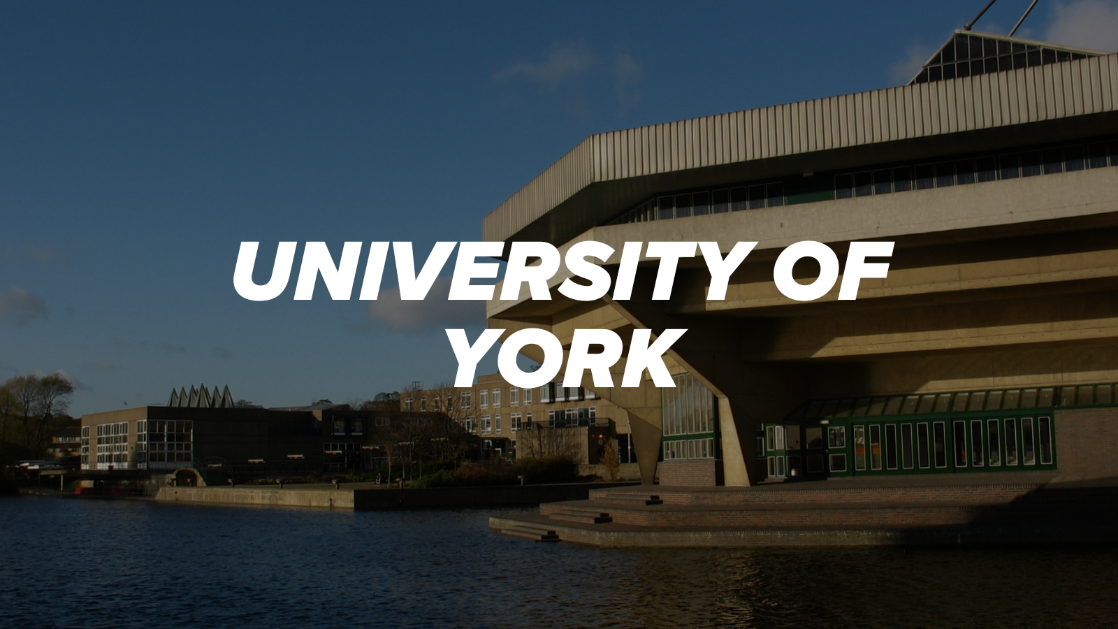 University of york